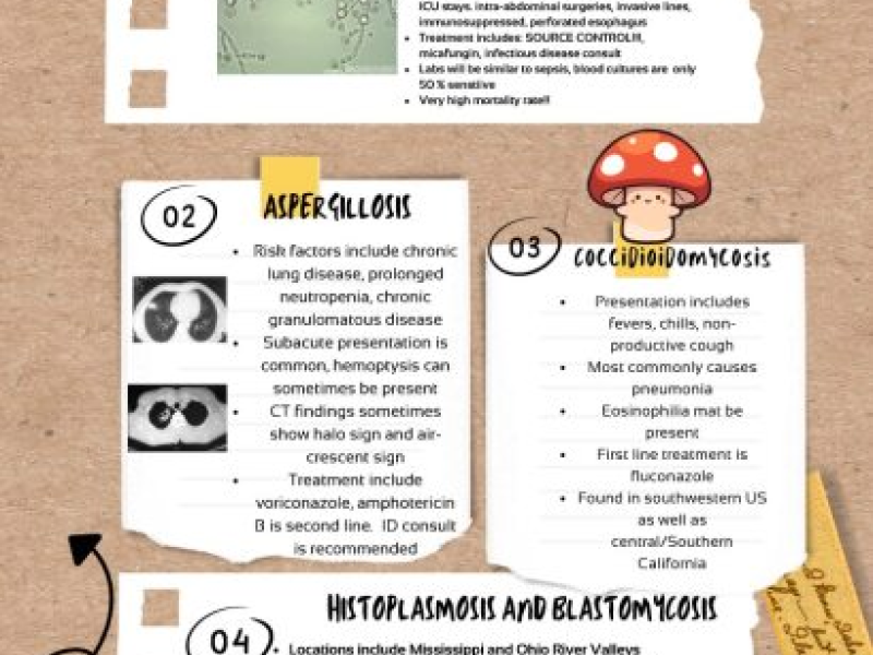 Systemic Fungal Infections