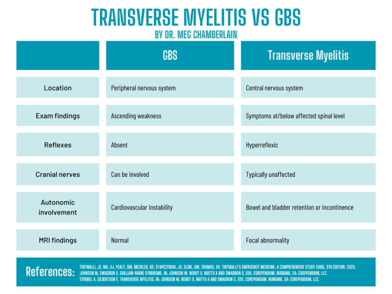 Transverse Myelitis vs Guillain-Barré Syndrome