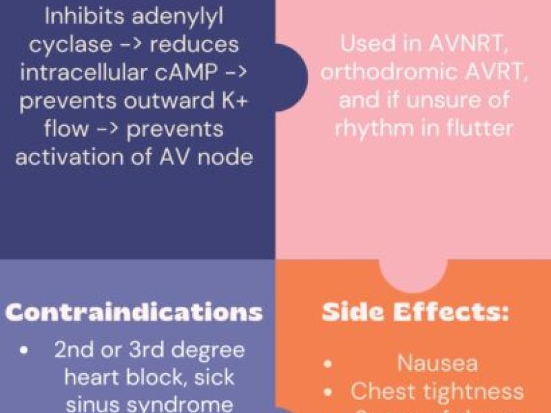 Medications in Supraventricular Tachycardia by Meg Chamberlain: Adenosine