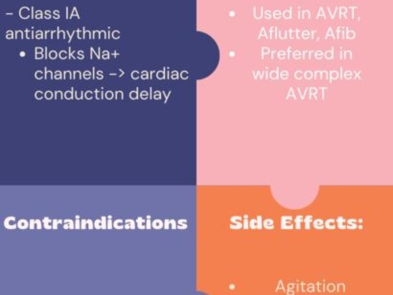 Medications in Supraventricular Tachycardia Part 5: Procainamide by Meg Chamberlain