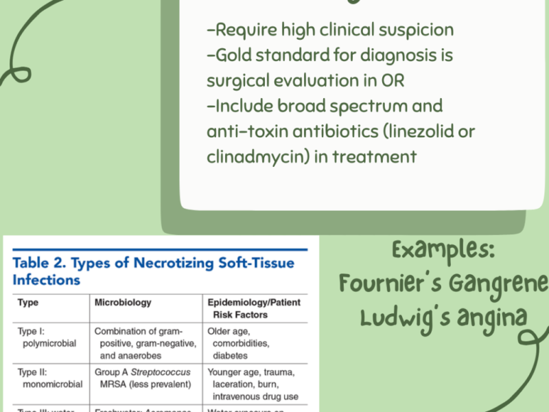 Types of Necrotizing Skin Infections with Dr. Erica Westlake
