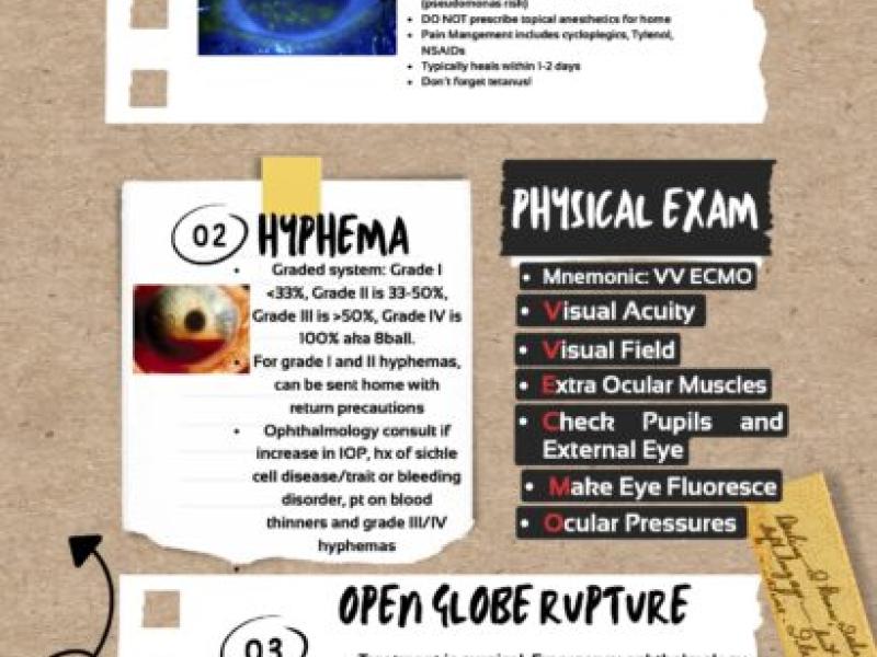 Ocular Trauma with Dr. Alec Rudenstein