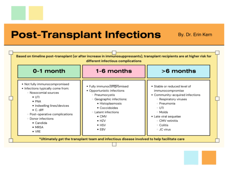 Post-Transplant Infections by Dr. Erin Kern