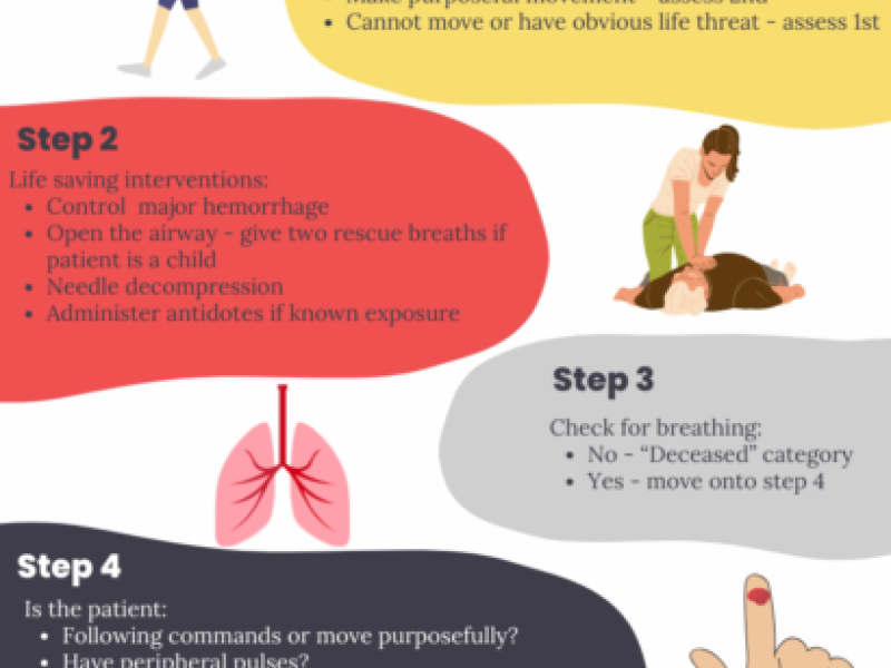 Conference Content: SALT triage by Dr. Simon Sarkisian and Dr. Meg Chamberlain