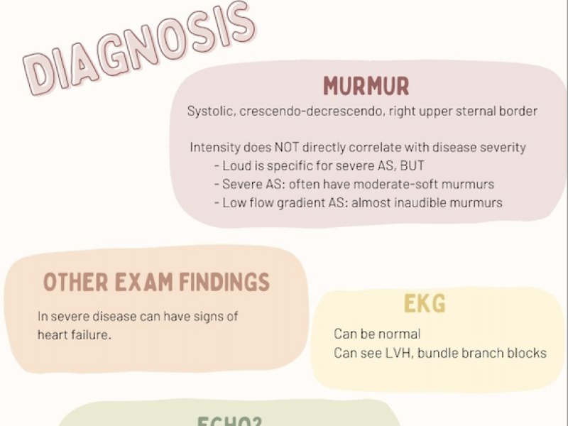 Back to Basics: Aortic Stenosis