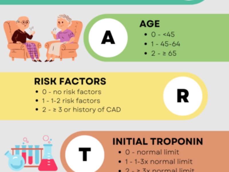 The HEART Score by Dr. Meg Chamberlain