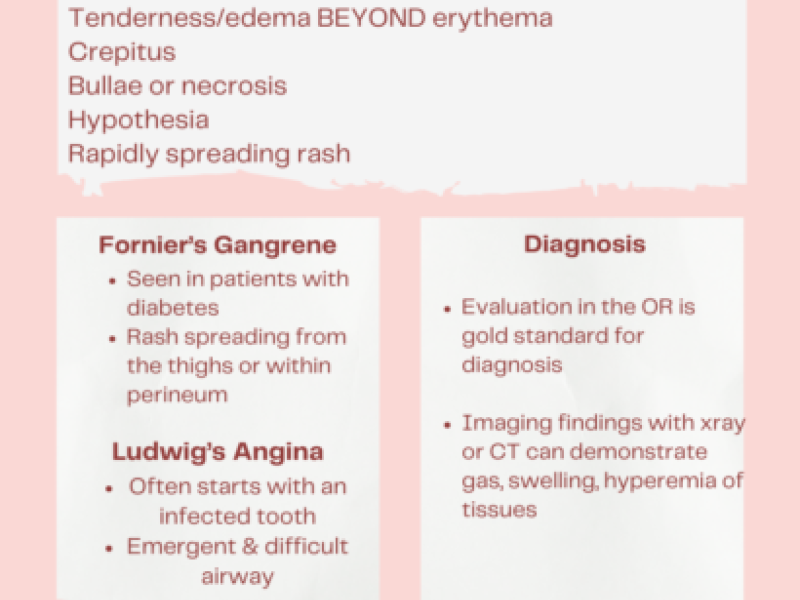 Conference Content with PGY-2, Dr. Erica Westlake
