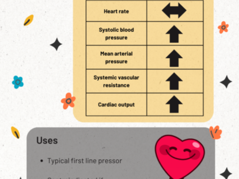 Vasopressors Part I: Norepineprhine