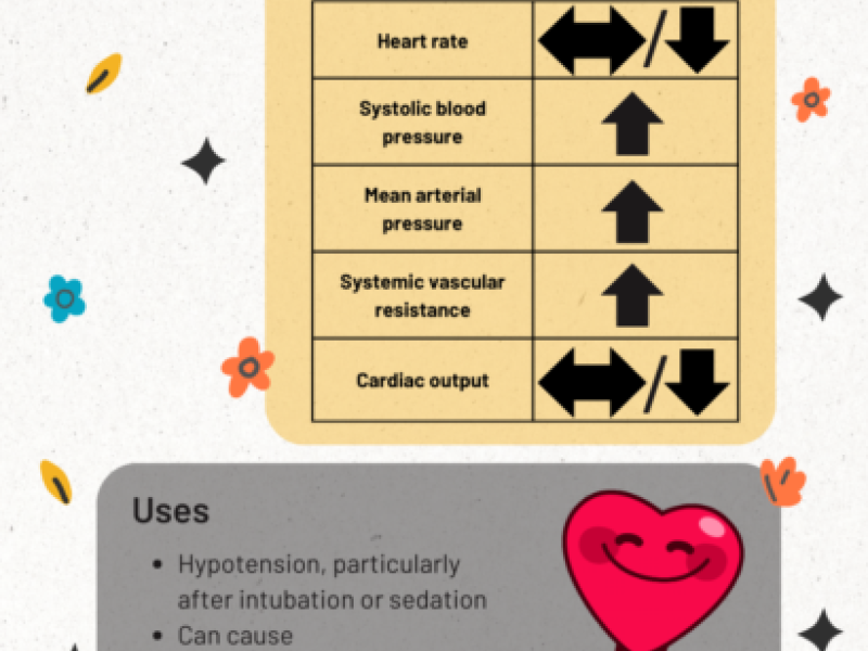 Vasopressors Part IV: Phenylephrine