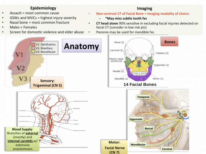 Back to Basics:  Approach to Facial Trauma