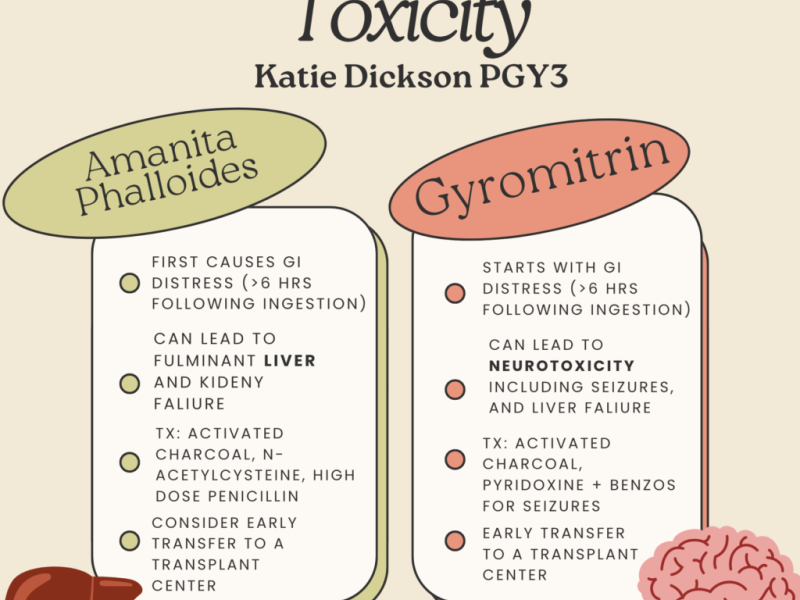 Mushroom Toxicity with Dr. Katie Dickson
