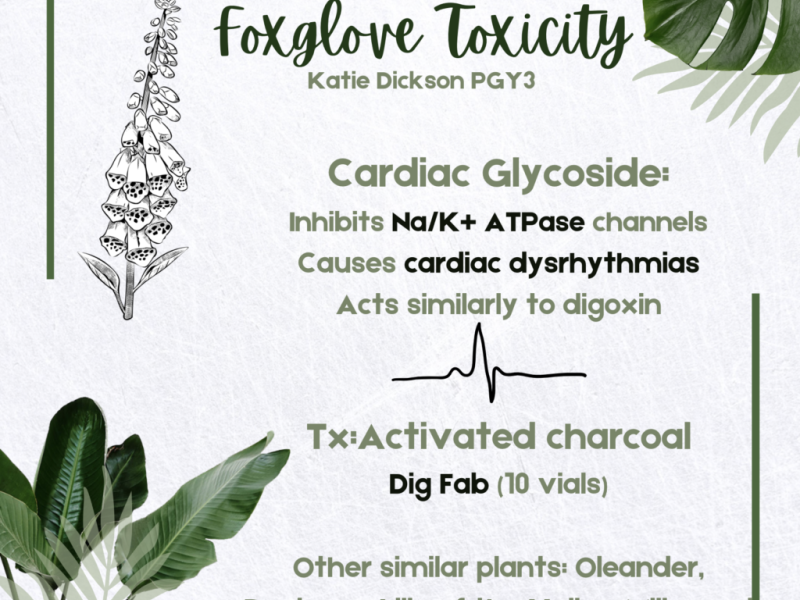 Foxglove Toxicity with Dr. Katie Dickson