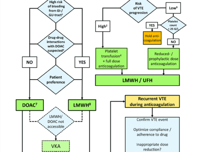 Board Review by Dr. Edward Guo (Edited by Dr. Parikh)