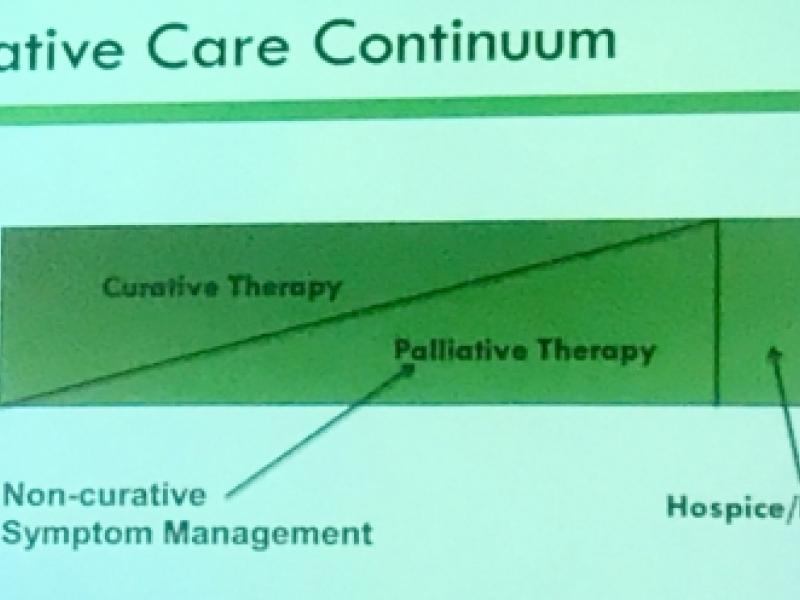 #EMconf: Palliative Care in the ED 