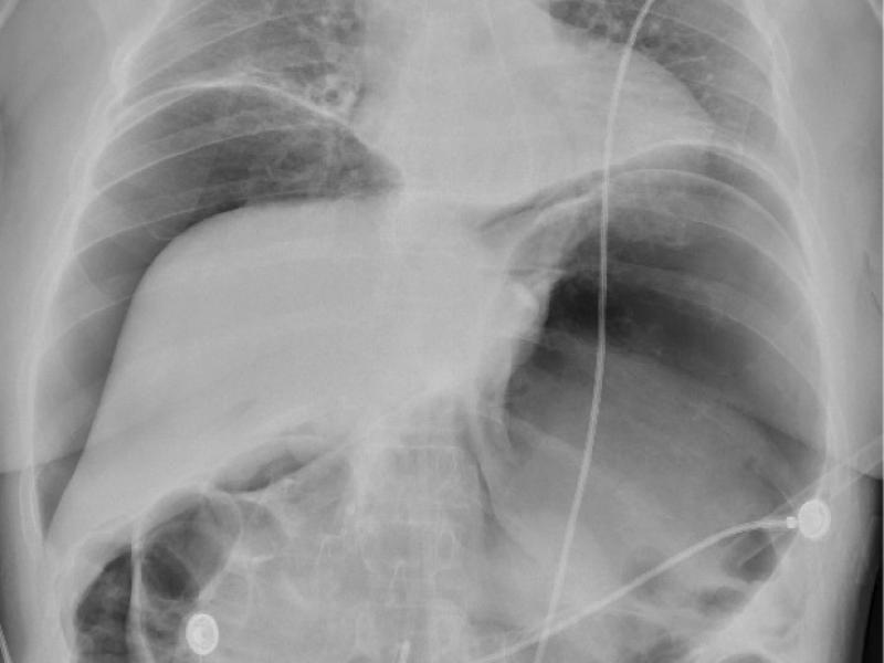 What's the Diagnosis?  By Dr. Lauren Murphy