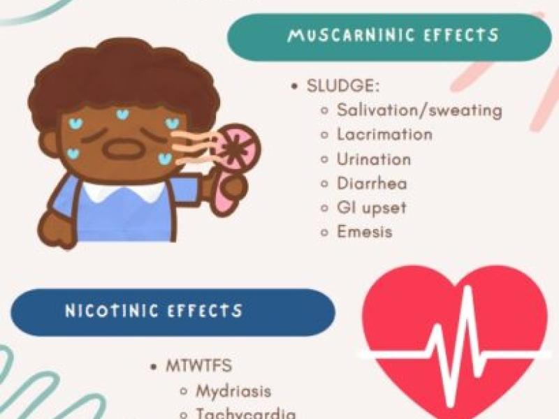 Cholinergic Toxicity